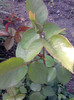 P210511_08.10_[03]