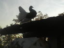 P22-05-11_19.07[2]