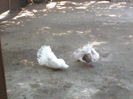 P23-05-11_13.02[1]