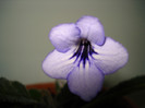 DSC08955