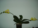 DSC08964