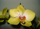 DSC08968