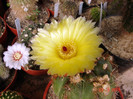 DSC09489