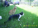 22-23.05.2011 (85)