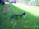 22-23.05.2011 (87)