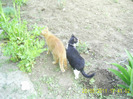 22-23.05.2011 (219)