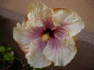 P1070138