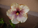 P1070135