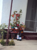 DSC07955