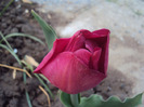 DSC08076