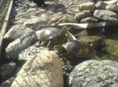 DSC00008