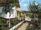 DSC08133