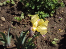 DSC08152