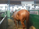 DSCN1350