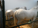 DSCN1351