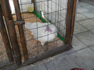 DSCN1362