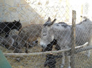 DSCN1375