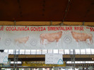 DSCN1382