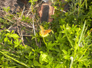DSCN1065
