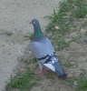 DSCN5940
