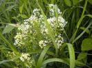 DSCN1069
