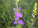 DSCN1070