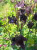 DSCN1183