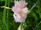 DSCN1195