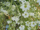 DSCN1198