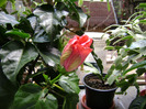 DSC06159