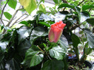 DSC06161