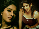 shameeksha wallpaper 2a