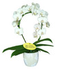 orchidee_big