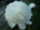 057
