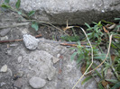 DSCN1109