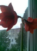 hello, beauty !!