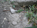 DSCN1110