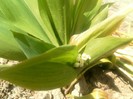 SAM_1381