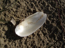 DSCF3425
