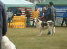 barlad expo 2005