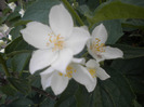 DSCN1105