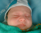 Praslea familiei