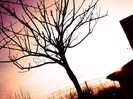 Lightness_vs_Darkness_by_timellya1209