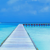Paisaje_O8_Puente_by_stylefashion