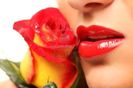 8578312-red-lips-and-red-rose-isolated-on-white-shallow-dof