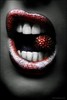 beautiful,berry,black,blackberry,body,part,face-c95247978e4b91a70102e6fdb9d01e7d_h