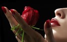red_rose__lips-1280x800