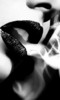 smokeylips_b1ofe3eh