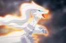 Reshiram