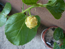 P1070180